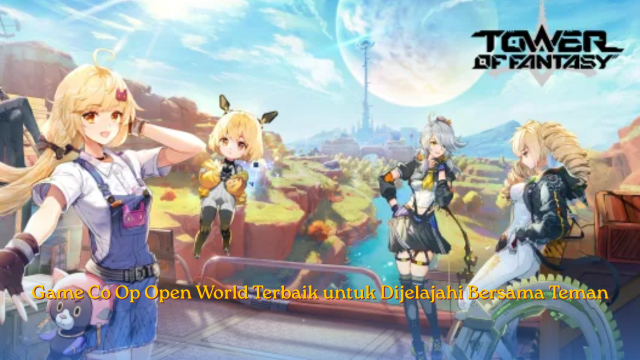 Game Co Op Open World